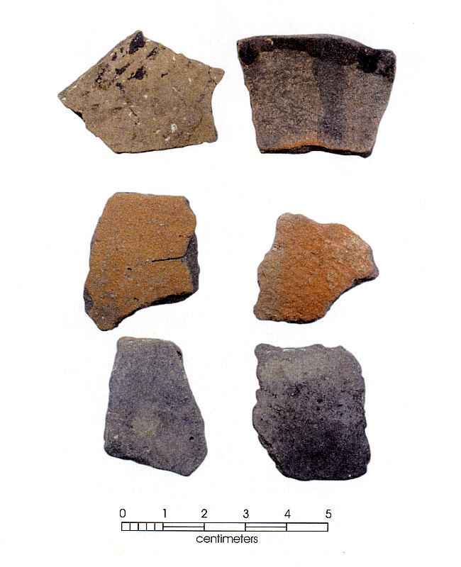 photo of asphaltum-coated Rockport sherds from Cayo del Oso