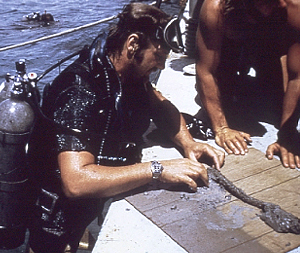 Divers examine a section of rope