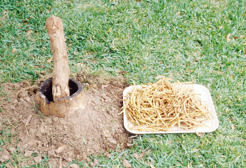 photo of Experimental wooden mortar and pestle with mesquite beans