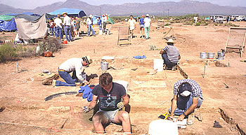 Looking west, from the area of Rooms 7 and 8.