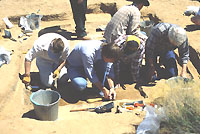 EPAS volunteers work in Room 13. This was a shallow pithouse that had burned and was full of shelled corn and beans. Although interesting, the excavators complained about having to pick out thousands of kernels of corn and beans from the soil. But if not this, then it was too hot, too cold, too many flies…. 