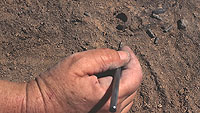 Burned bone ring and shell beads being exposed. These were found within an irregular, trash-filled pit between pithouse rooms 13 and 17. This deposit in the outside area is not associated with any structure and perhaps represents some sort of ritual offering.