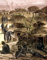 Prisoners lie along the pathways lined with crude dugout houses at Camp Ford. Housing was described by one detainee as being small, dark, and dirty "log shanties" that were "partly burrowed and partly built." Hand-colored period drawing from Harper's Magazine, courtesy of Alston Thoms.