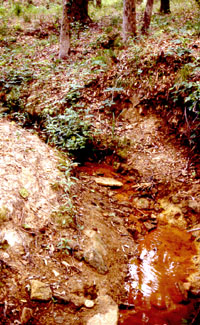 Traces of reservoirs likely built by the prisoners were found during survey along this small creek. Photo by Steve Black.