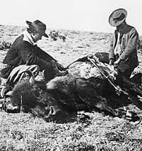 buffalo hunters