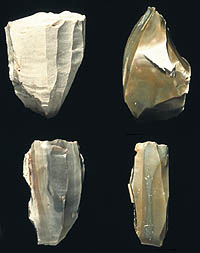Clovis blade cores. These distinctive artifacts are blocks of chert (flint) that have been carefully prepared ("set up" by chipping and edge grinding) for the removal of prismatic blades. This highly specialized technology allows a skilled flintknapper to maximize the amount of useful cutting edge that can be generated from a single chert cobble.