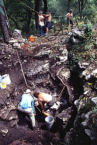 TAS members struggle to remove a large rock from what was at first thought to be another sinkhole. As the excavations progressed, it proved to be a small rockshelter that had been filled by sediment. Archaic artifacts were found within the shelter and it is hoped that older deposits are represent in its lower reaches.