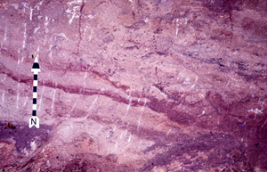 Image of an arrow head
