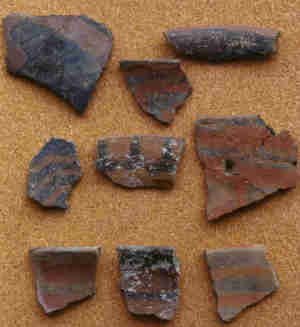 photo of El Paso Polychrome sherds