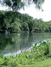 Lake Jackson