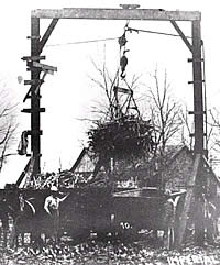 loading sugar cane