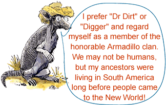 interesting facts about the apache tribe