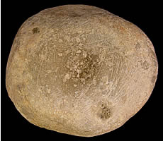photo of dimple stone
