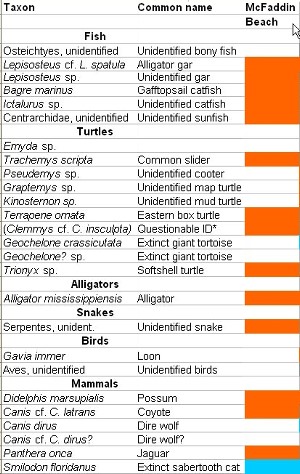 pdf chart of Taxa identified from McFaddin Beach and other southeastern sites