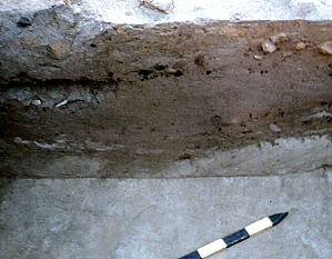 Photo of one of the pits discovered on the floor of the Ysleta Jacal