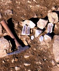 Photo of natural chert cobbles from the limestone "bench" at Pavo Real that have been split with a geological hammer. The natural dark gray color of the PRVEC (Pavo Real Variety Edwards Chert) can be seen in the center of the broken pieces. The outer rinds are heavily patinated, or weathered. All of the site's Paleindian artifacts were thoroughly patinated and appeared white.