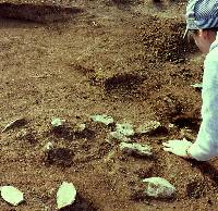 photo of archeologist