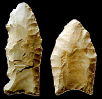 photo of Clovis points