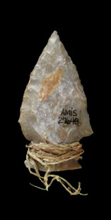 Archaic dart point with fiber bindings still attached. From ANRA-NPS Collections at TARL.