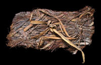 Sandals were often made of lechugilla leaves which provided the toughest fibers of all the available plants. From the ANRA-NPS collections at TARL.