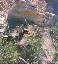 Excavations underway at Coontail Spin Cave in 1962. Access to this cave was extremely challenging because of its remote location. Archeologists reached it by descending a long, steep slope from the opposite canyon wall and then climbing up a narrow tortuous path to the cave. Photo from ANRA-NPS Archives at TARL.