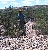 Man stands in center of a ring midden, a roasting pit where lechugilla and sotol were baked in earth ovens using hot rocks. Such places were used over and over resulting in a donut-shaped ring of spent cooking rocks. Ring middens are very common in the Lower Pecos. Photo from ANRA-NPS Archives at TARL. 