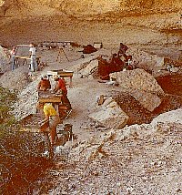 Baker Cave excavations, 1984. The screens were placed at the edge of the rockshelter in hopes that the updrafting winds would carry the dust away, but at the end of the day, the archeologists were often coated in cave dust. Photo from TARL archives.