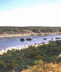 The lower Devils River prior to the construction of Amistad Reservoir. Although much shorter than the Pecos and the Rio Grande, the Devils River is spring fed and its waters are clear and "sweet" compared to the often muddy and salty waters of the other two. Photo from ANRA-NPS Archives at TARL.