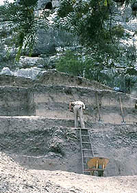 photo of Nopal Terrace