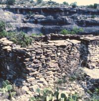 The Lower Pecos has an interesting variety of historic archeological sites in addition to its many prehistoric ones. This stone-walled structure was a homesteaders house and is located, like many Indian sites, near a spring within a protected canyon. Photo from ANRA-NPS Archives at TARL.