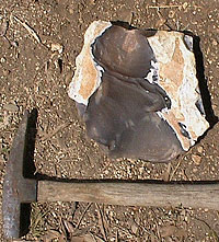 photo of root beer flint