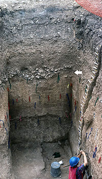 Photo of profile at Wilson-Leonard site