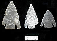 photo of Castroville points