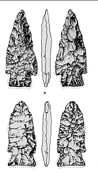 drawing of Wilson points