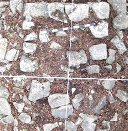 direct overhead photos looking down at the chimney base
