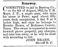 Image of 1855 news article