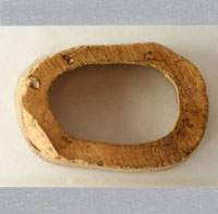 photo of a rabbit bone found on the farm