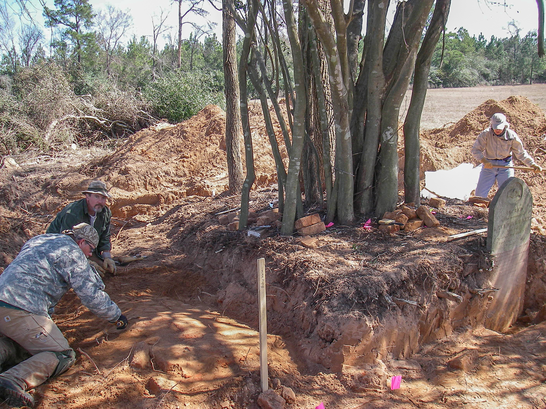 work shot photo of excavation units in foreground behind which is a cluster of saplings around which are the excavations; two kneeling archeologists are digging on far left, a third researcher is in background on far right.