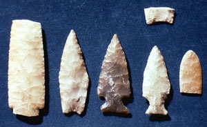 photo of early projectile points