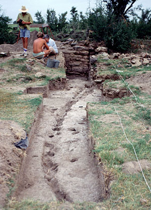 photo of the line of postholes