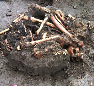 photo of the remains of what are believed to be three French settlers