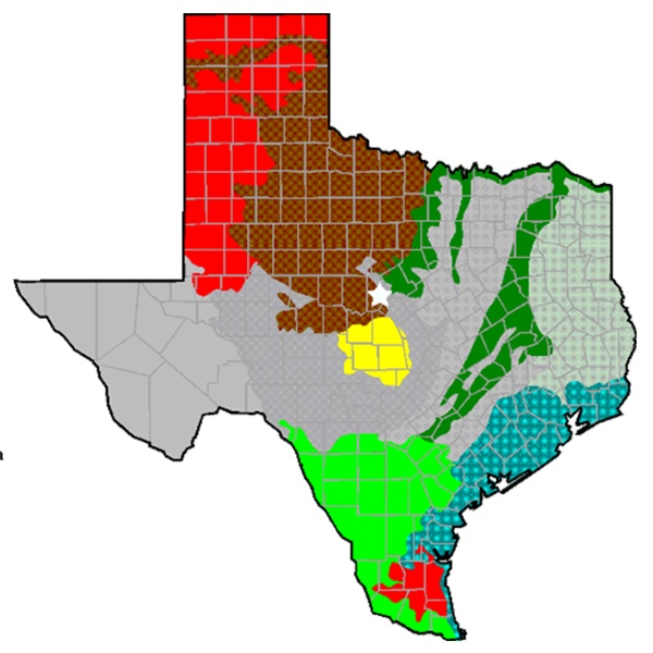 simple map of Texas with colored ecoregions