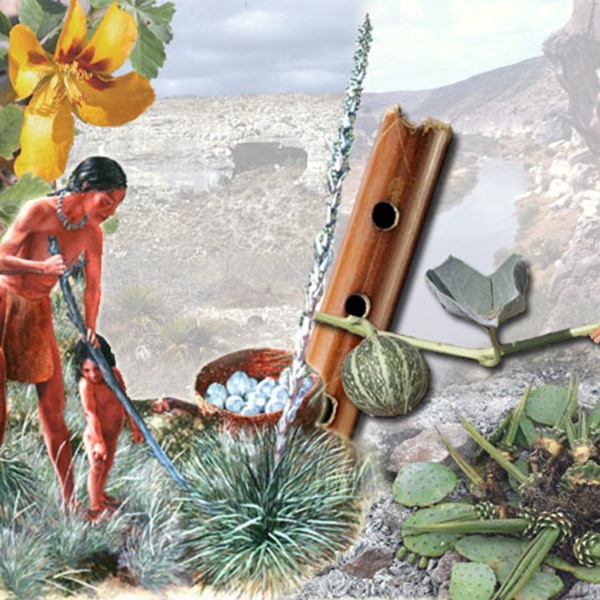 collage of plants and a person, illustrated