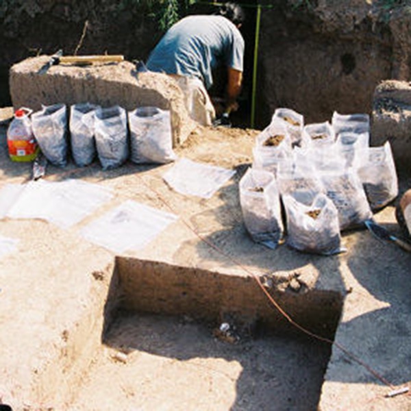 photograph of an excavation with labeled bags lined up