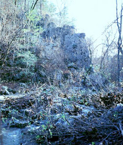novaculite outcrop