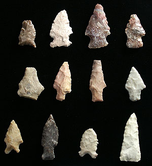 photo of dart points recovered from Squawteat Peak