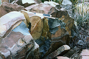 photo of black hornfels in Big Bend National Park