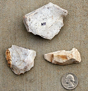 photo of white chert 