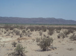 photo of overview of the main locality at Chispa Creek 