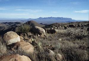 photo of a small mountaintop site in the Rosillos Mountains